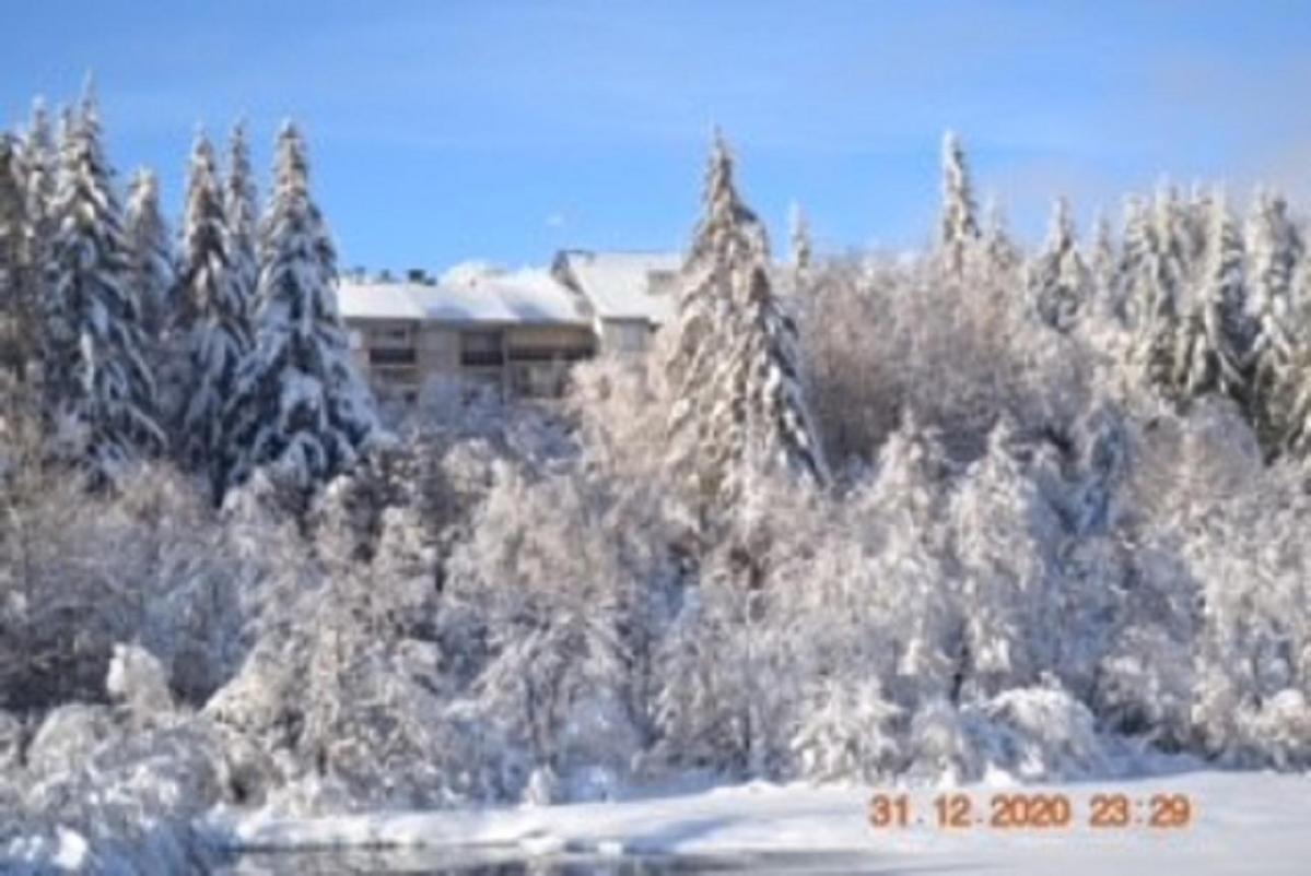 Lo Vedelier D'Aubrac Apartment Laguiole Exterior photo
